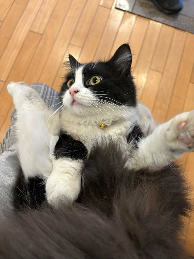 しろくまさんの行田・湯本天然温泉 茂美の湯のサ活写真