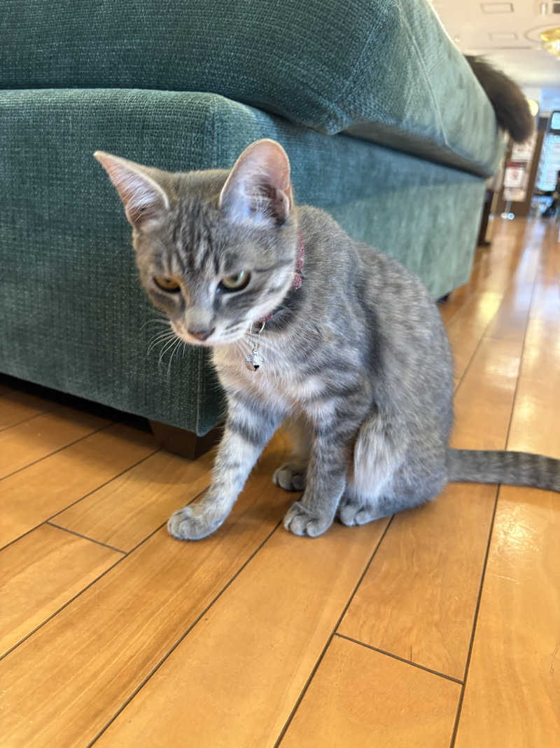 しろくまさんの行田・湯本天然温泉 茂美の湯のサ活写真