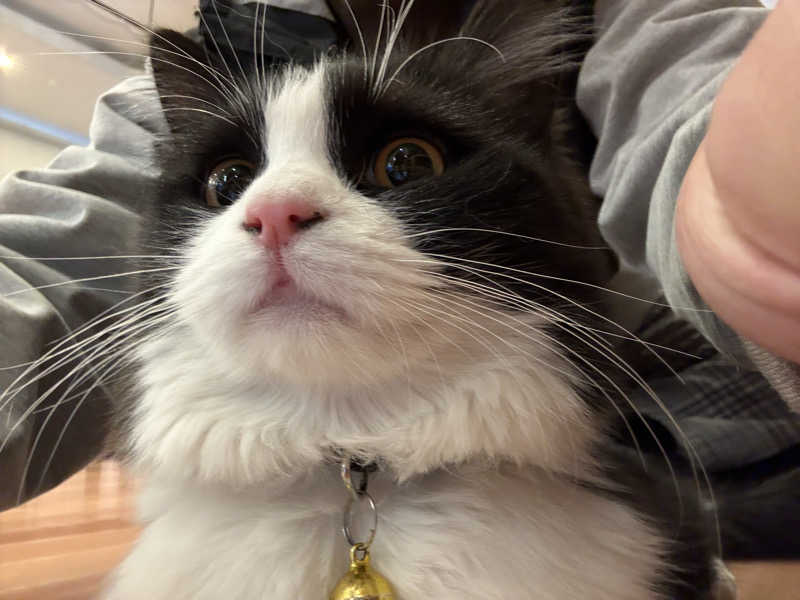 しろくまさんの行田・湯本天然温泉 茂美の湯のサ活写真