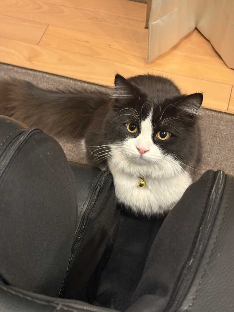 しろくまさんの行田・湯本天然温泉 茂美の湯のサ活写真