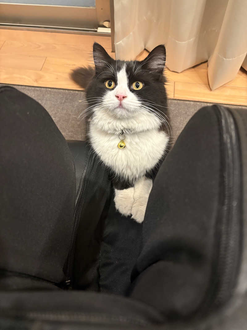 しろくまさんの行田・湯本天然温泉 茂美の湯のサ活写真