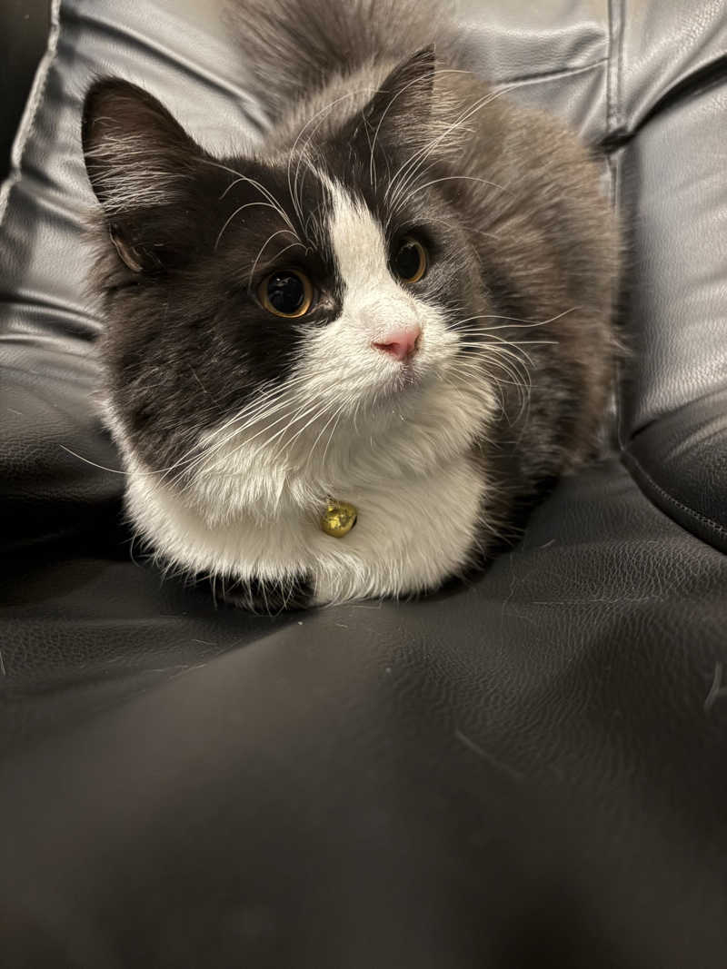 しろくまさんの行田・湯本天然温泉 茂美の湯のサ活写真