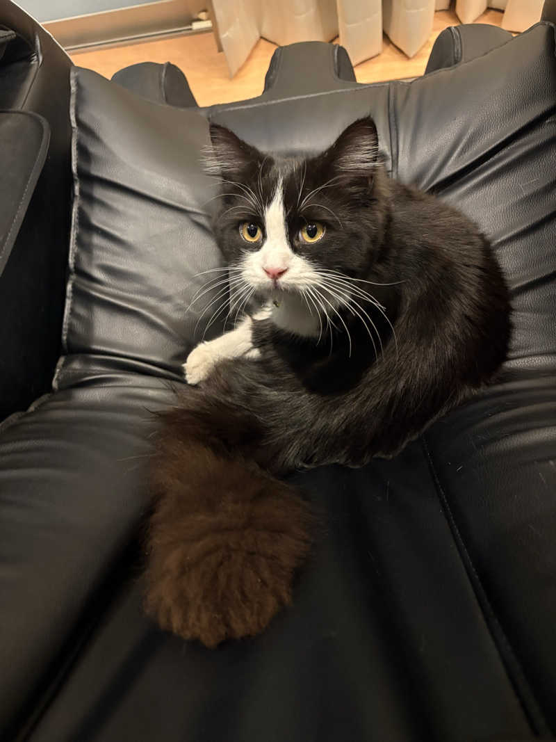 しろくまさんの行田・湯本天然温泉 茂美の湯のサ活写真