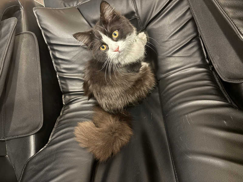 しろくまさんの行田・湯本天然温泉 茂美の湯のサ活写真