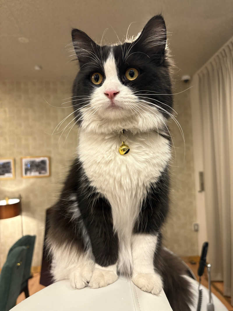 しろくまさんの行田・湯本天然温泉 茂美の湯のサ活写真