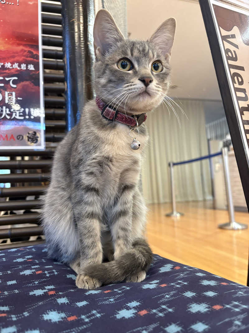 しろくまさんの行田・湯本天然温泉 茂美の湯のサ活写真