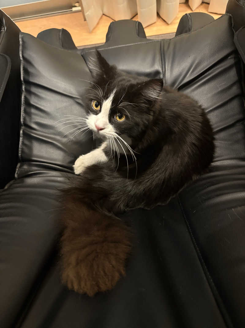 しろくまさんの行田・湯本天然温泉 茂美の湯のサ活写真