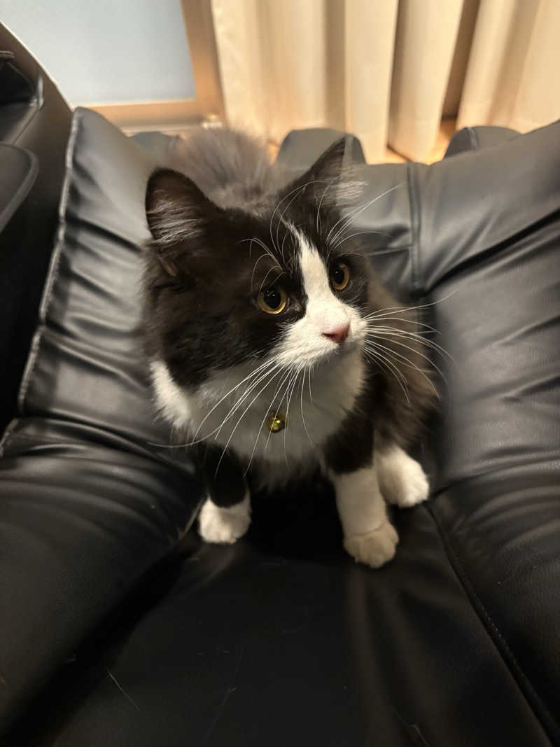 しろくまさんの行田・湯本天然温泉 茂美の湯のサ活写真