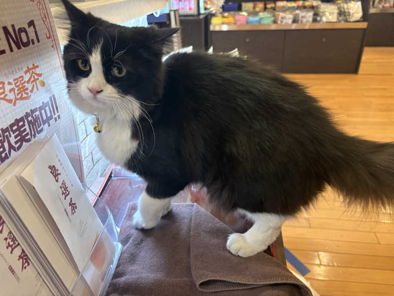 しろくまさんの行田・湯本天然温泉 茂美の湯のサ活写真