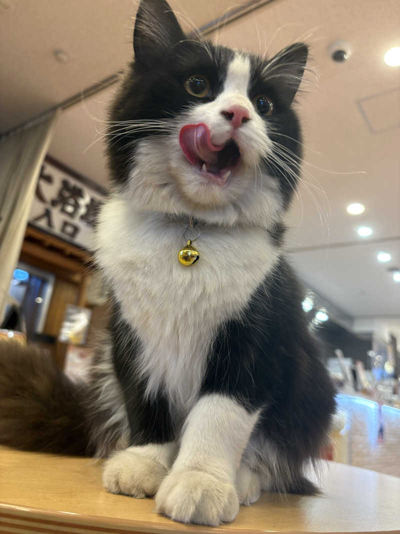 しろくまさんの行田・湯本天然温泉 茂美の湯のサ活写真