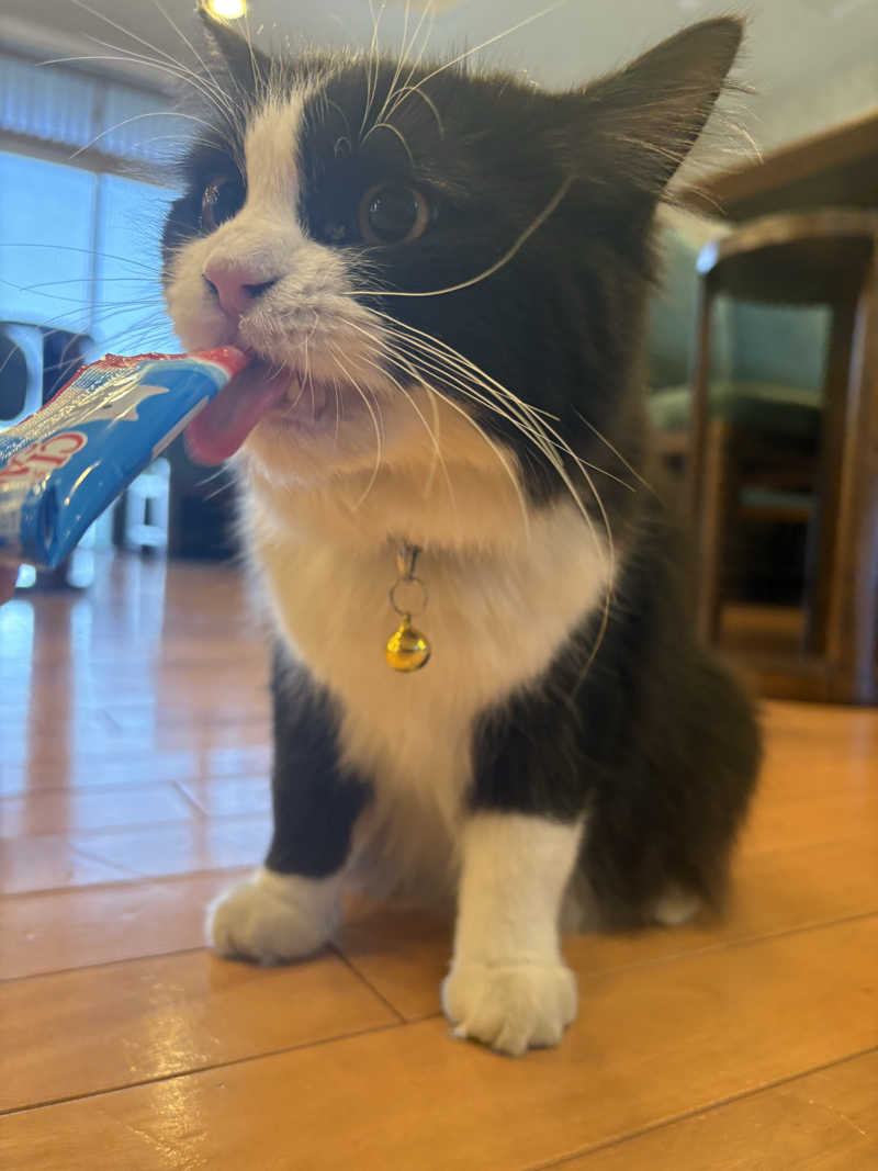 しろくまさんの行田・湯本天然温泉 茂美の湯のサ活写真