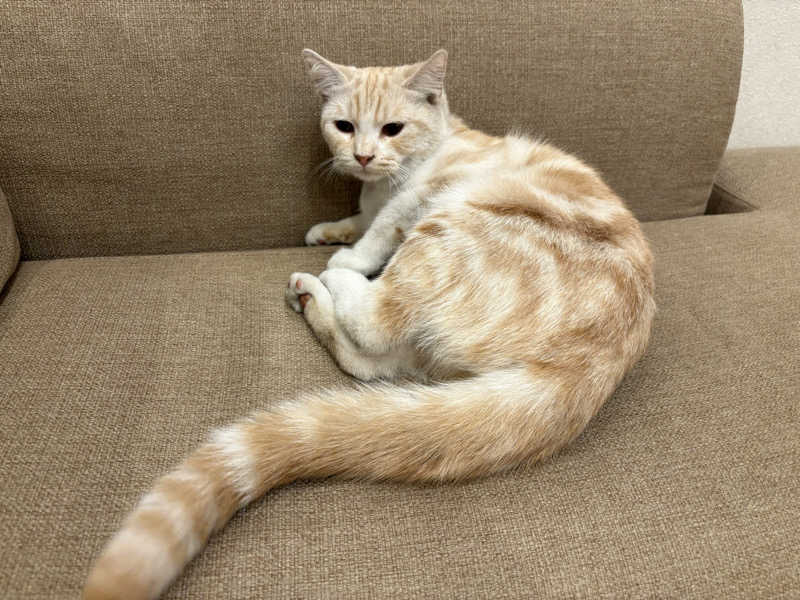 しろくまさんの行田・湯本天然温泉 茂美の湯のサ活写真