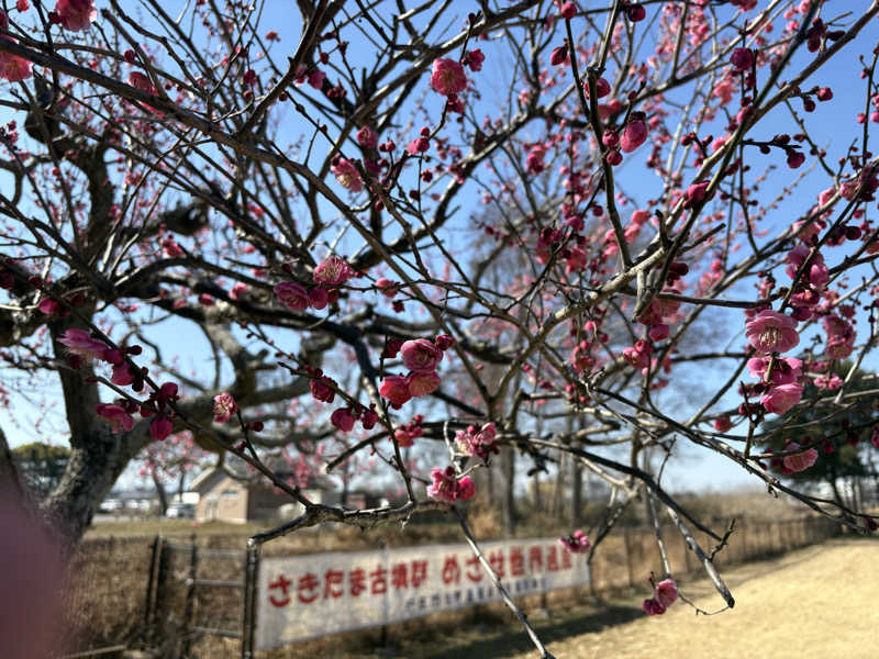 しろくまさんの行田・湯本天然温泉 茂美の湯のサ活写真
