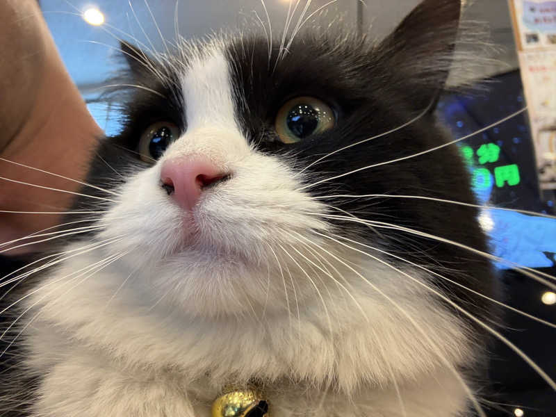 しろくまさんの行田・湯本天然温泉 茂美の湯のサ活写真