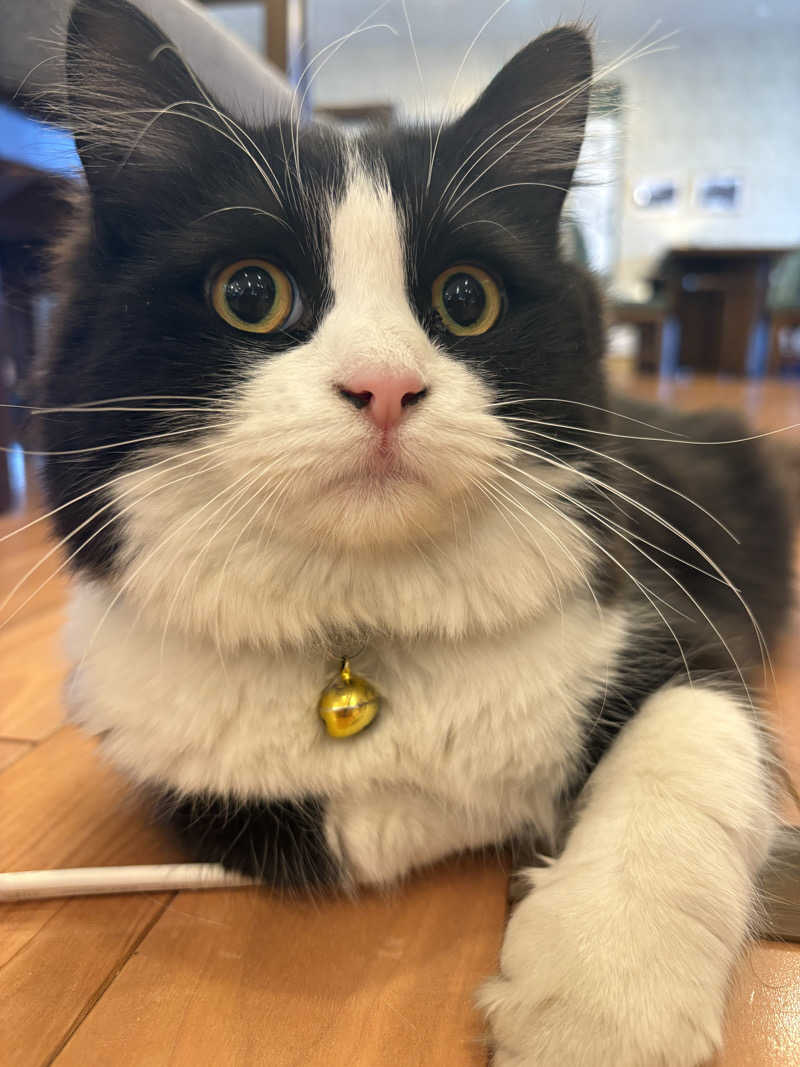 しろくまさんの行田・湯本天然温泉 茂美の湯のサ活写真