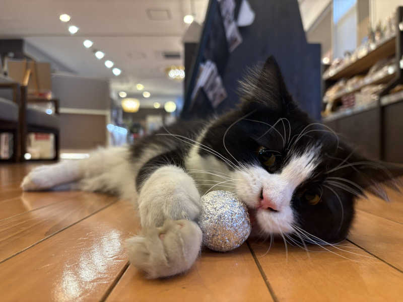 しろくまさんの行田・湯本天然温泉 茂美の湯のサ活写真