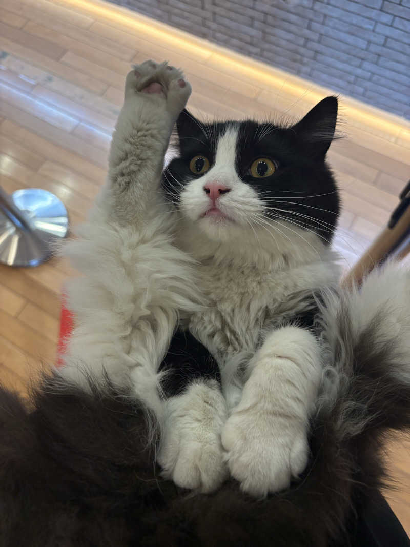 しろくまさんの行田・湯本天然温泉 茂美の湯のサ活写真