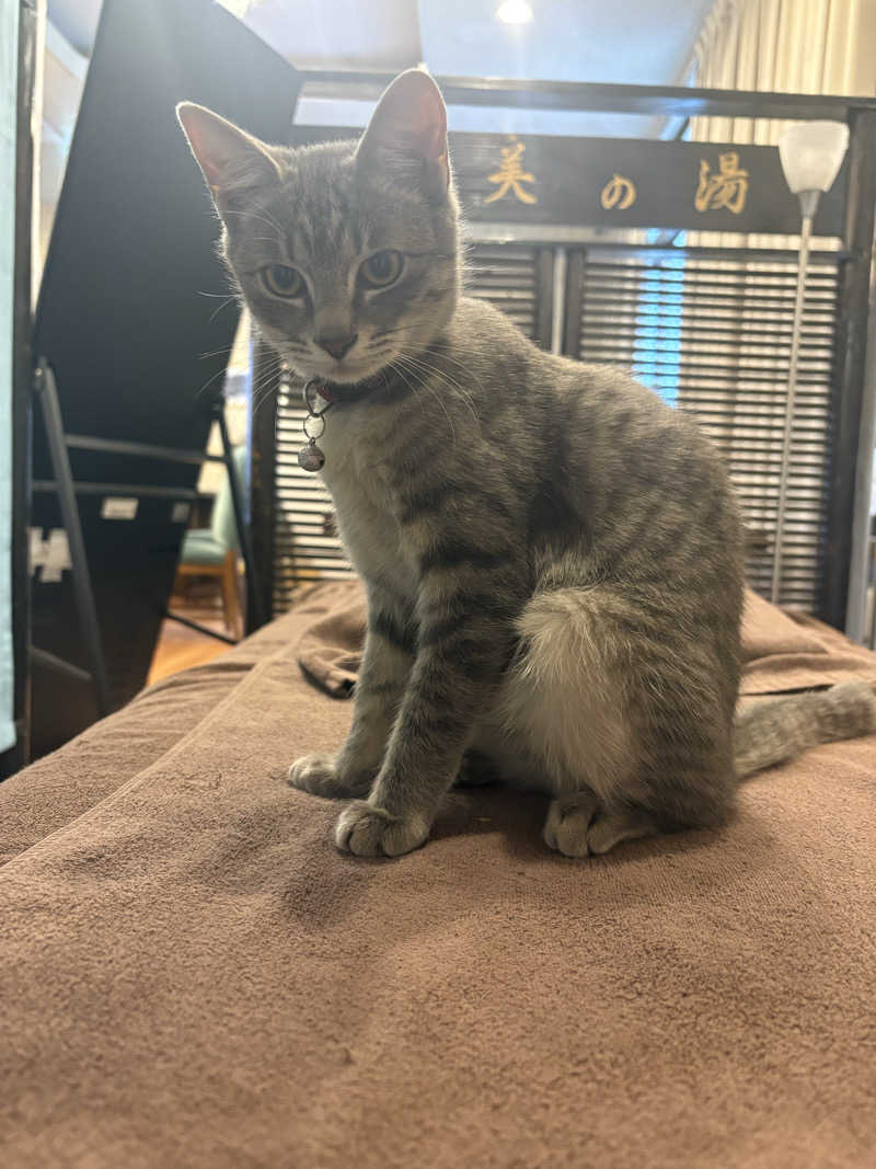 しろくまさんの行田・湯本天然温泉 茂美の湯のサ活写真