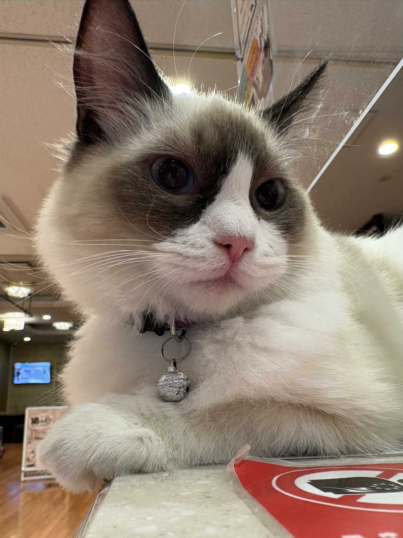 しろくまさんの行田・湯本天然温泉 茂美の湯のサ活写真