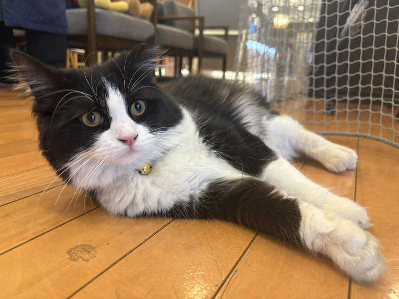 しろくまさんの行田・湯本天然温泉 茂美の湯のサ活写真