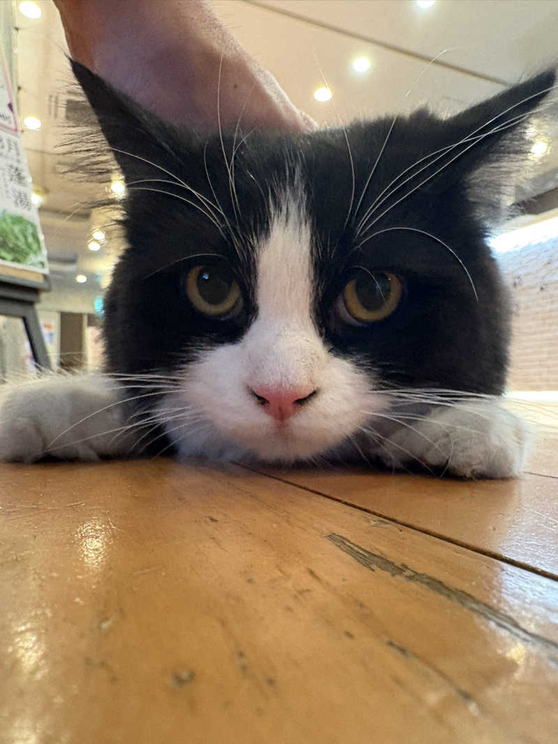 しろくまさんの行田・湯本天然温泉 茂美の湯のサ活写真