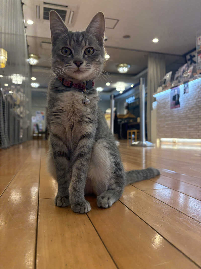 しろくまさんの行田・湯本天然温泉 茂美の湯のサ活写真