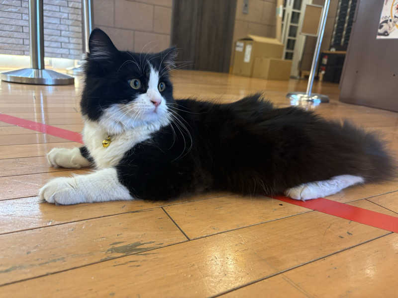しろくまさんの行田・湯本天然温泉 茂美の湯のサ活写真
