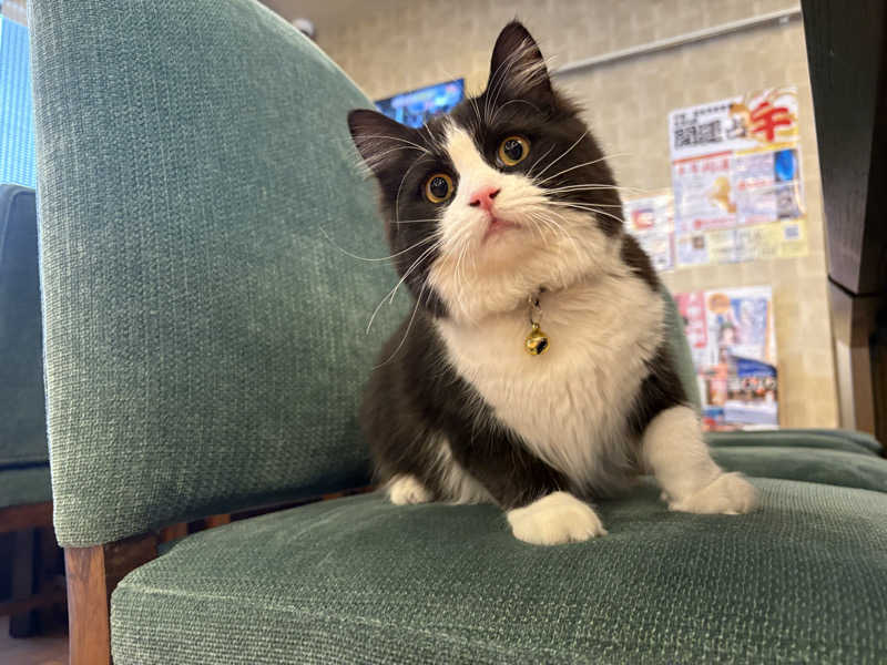 しろくまさんの行田・湯本天然温泉 茂美の湯のサ活写真