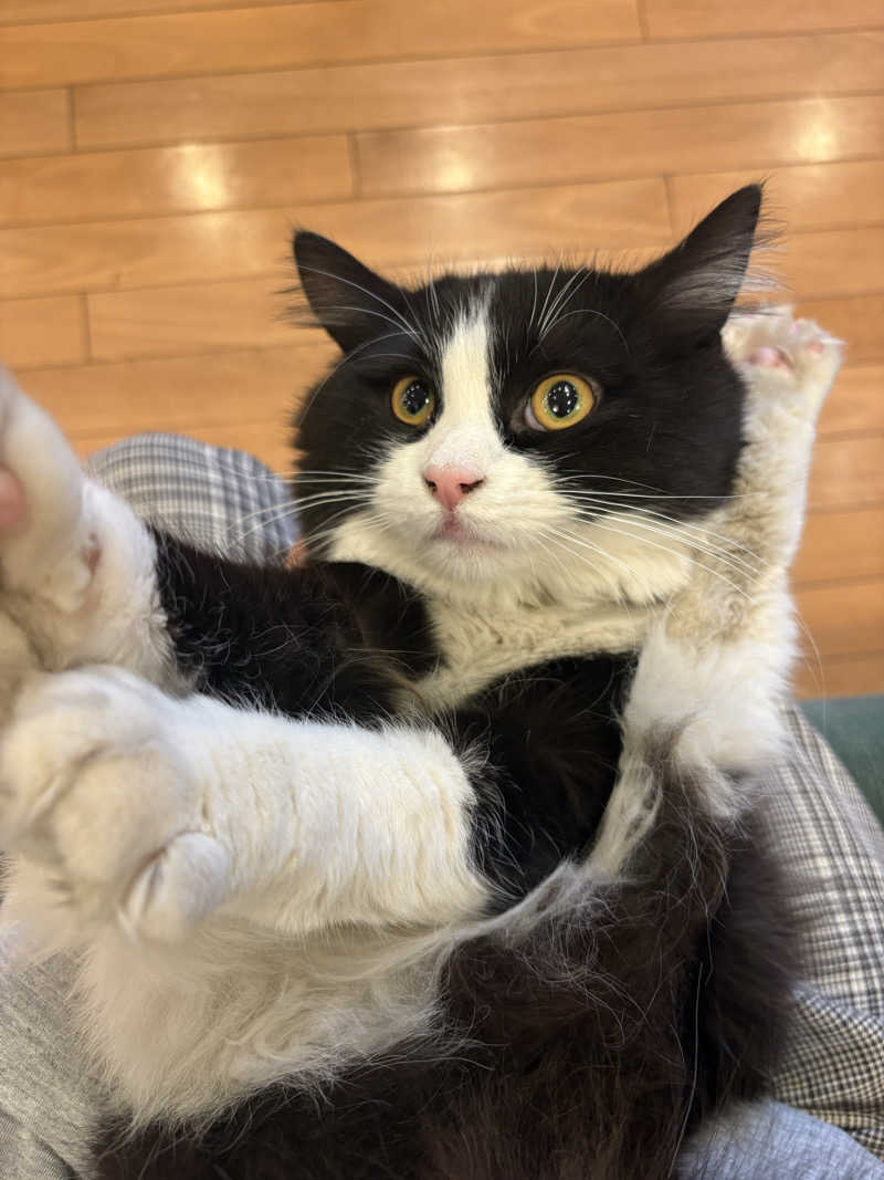 しろくまさんの行田・湯本天然温泉 茂美の湯のサ活写真