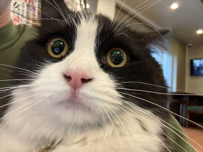 しろくまさんの行田・湯本天然温泉 茂美の湯のサ活写真