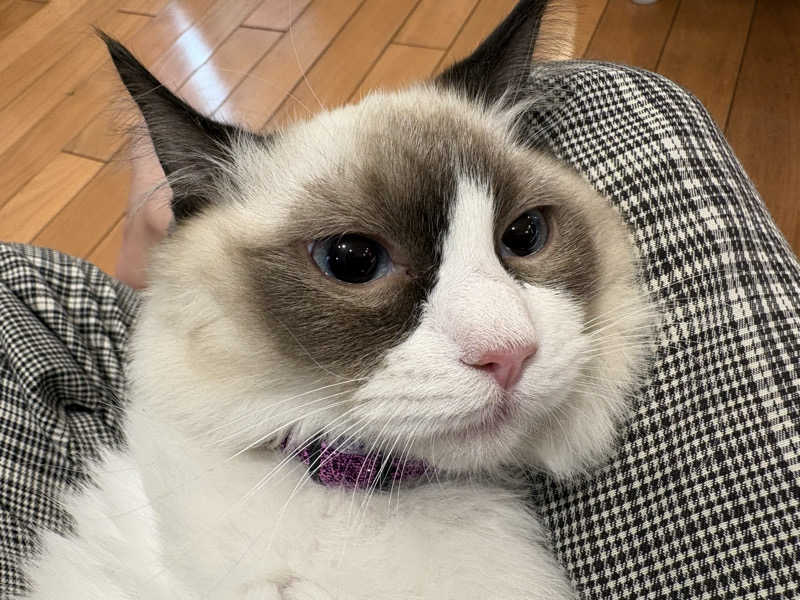 しろくまさんの行田・湯本天然温泉 茂美の湯のサ活写真