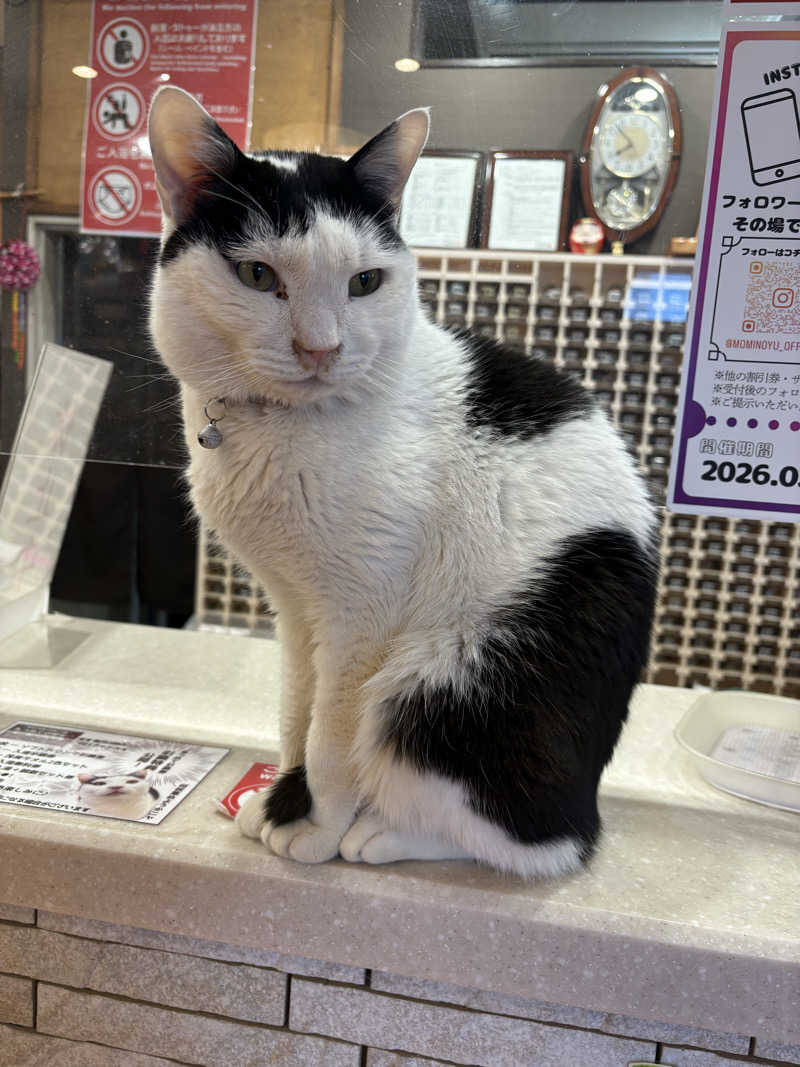 しろくまさんの行田・湯本天然温泉 茂美の湯のサ活写真