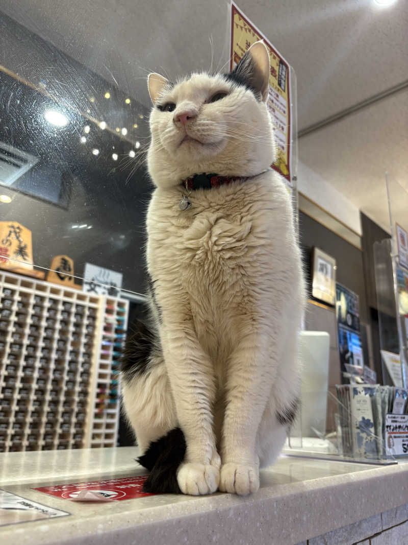 しろくまさんの行田・湯本天然温泉 茂美の湯のサ活写真
