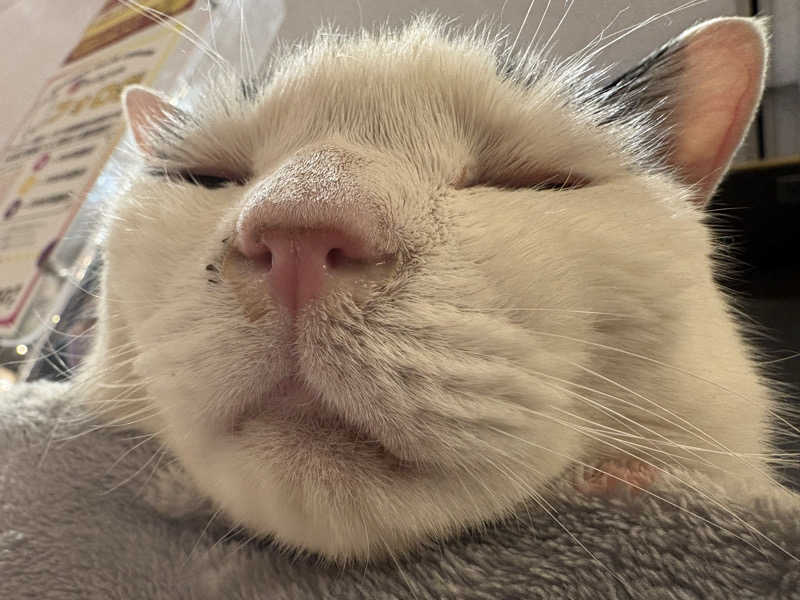 しろくまさんの行田・湯本天然温泉 茂美の湯のサ活写真