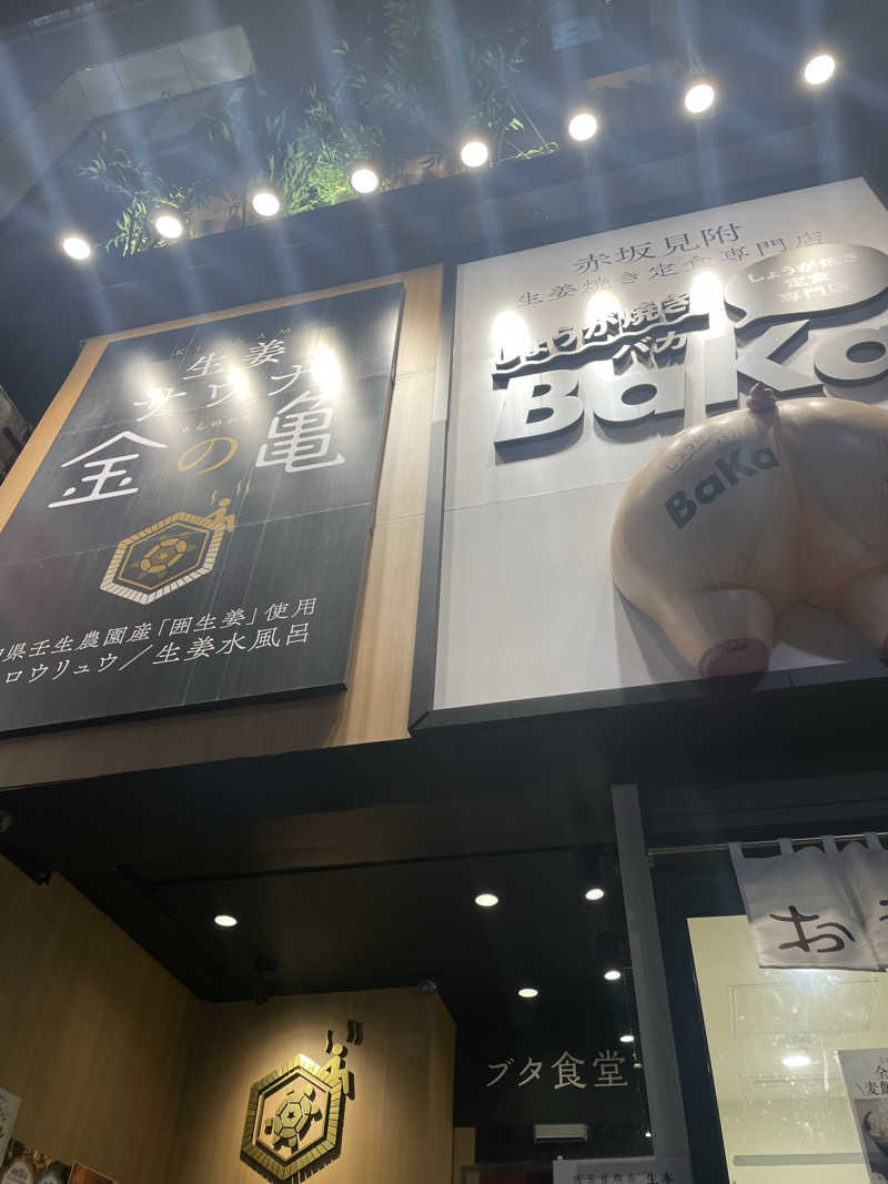 hajimetate ➕➕🫠さんの生姜サウナ 金の亀のサ活写真