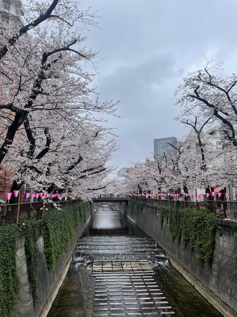 hajimetate ➕➕🫠さんのRAKU SPA Station 武蔵小金井のサ活写真