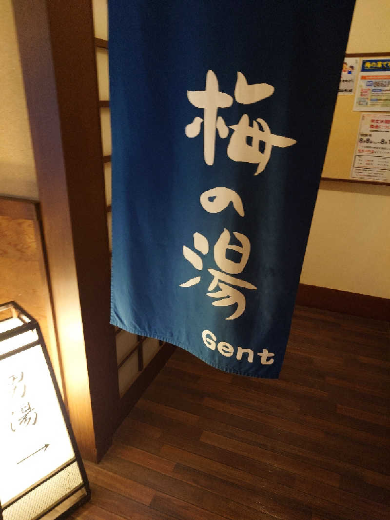 盛川貴広さんの河辺温泉 梅の湯のサ活写真