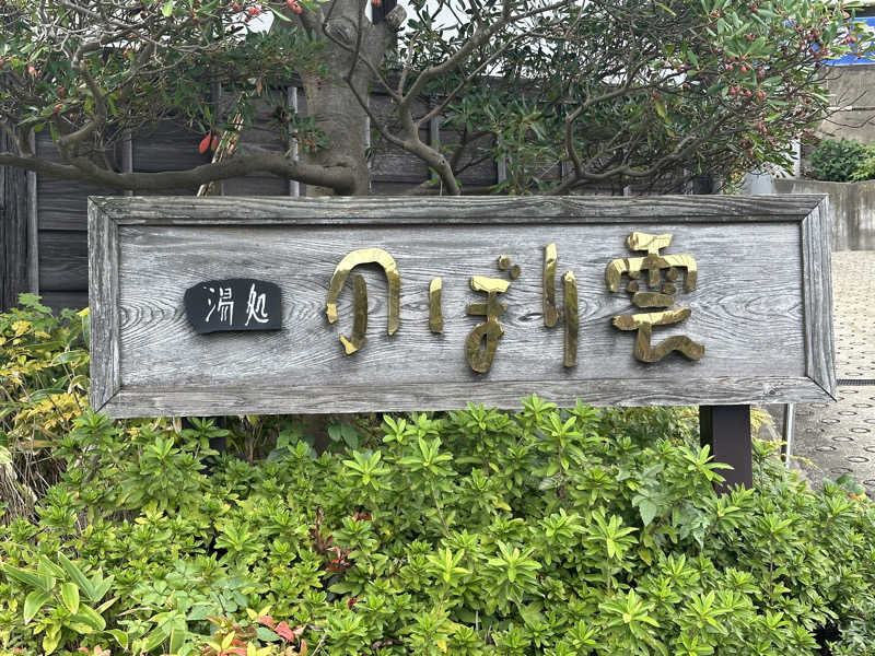 Bajiroちゃん〜令和のスナフキン〜さんの佐野天然温泉 湯処 のぼり雲のサ活写真