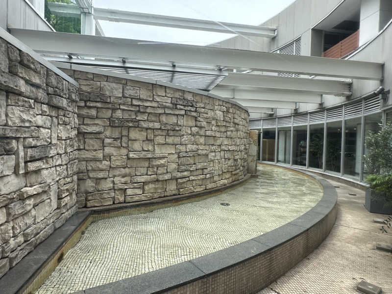 Bajiroちゃん〜令和のスナフキン〜さんのタイムズ スパ・レスタのサ活写真