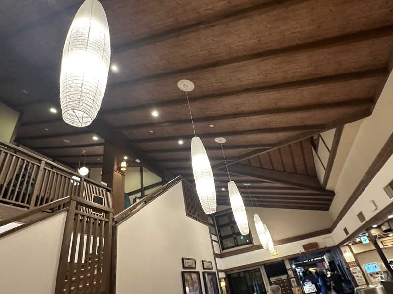 Bajiroちゃん〜令和のスナフキン〜さんの前野原温泉 さやの湯処のサ活写真