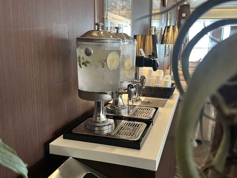 Bajiroちゃん〜令和のスナフキン〜さんのタイムズ スパ・レスタのサ活写真