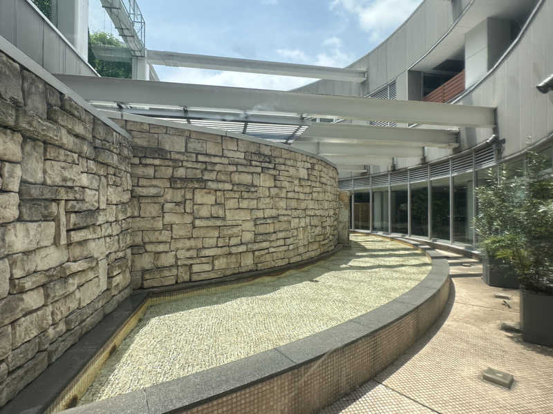 Bajiroちゃん〜令和のスナフキン〜さんのタイムズ スパ・レスタのサ活写真