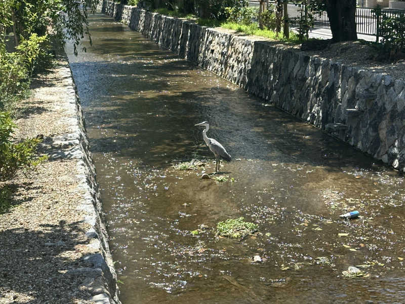 Bajiroちゃん〜令和のスナフキン〜さんのサウナの梅湯のサ活写真