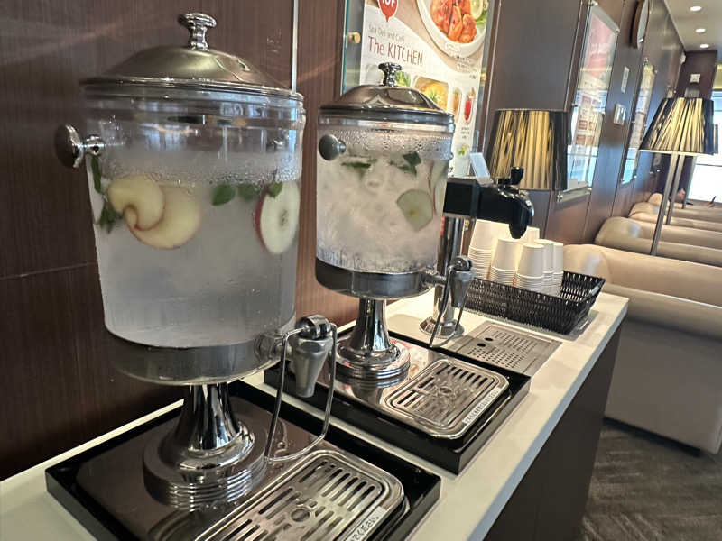 Bajiroちゃん〜令和のスナフキン〜さんのタイムズ スパ・レスタのサ活写真