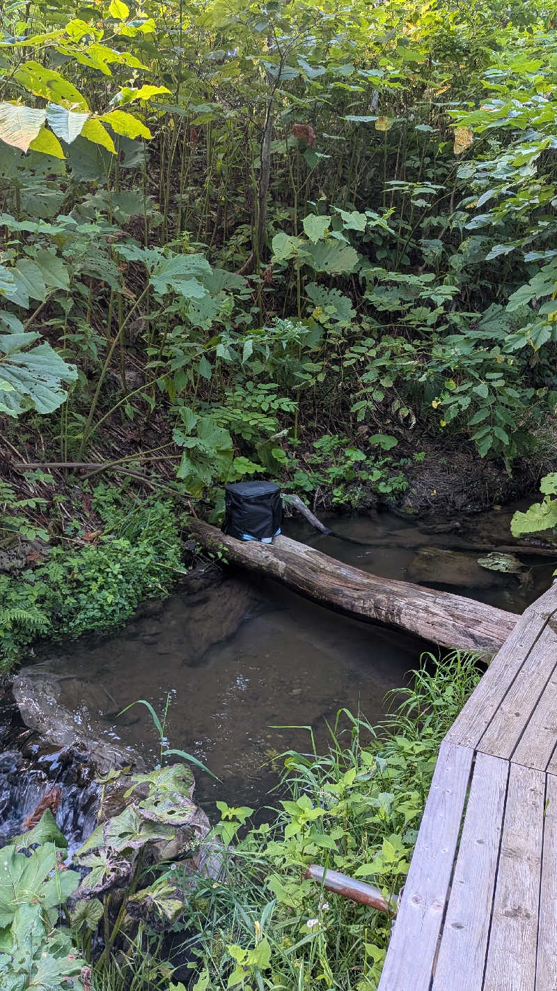 荒木智博さんの風の谷キャンプ場のサ活写真