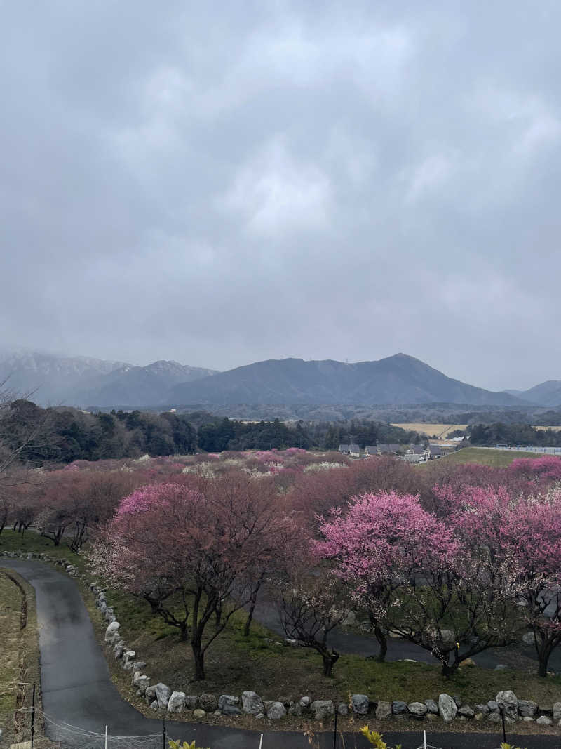 サはまりさんさんのおふろcafé あげき温泉のサ活写真