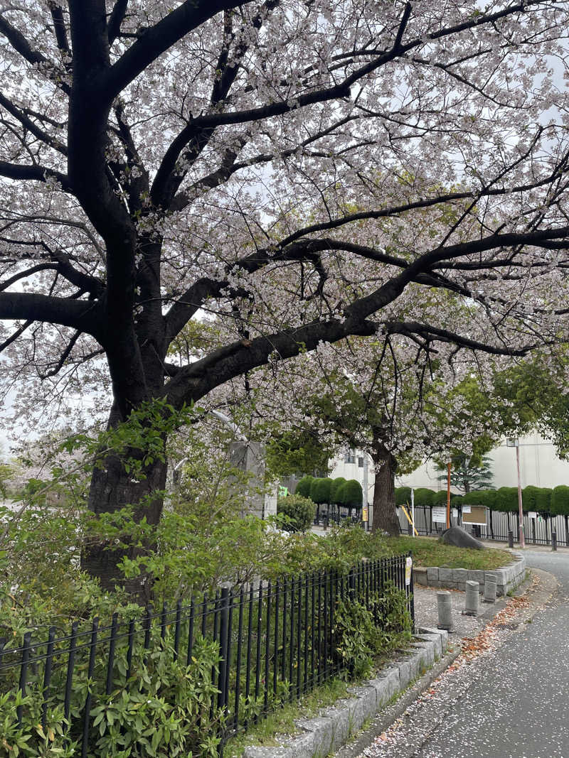 サはまりさんさんのFIRST THE SAUNA 京都のサ活写真