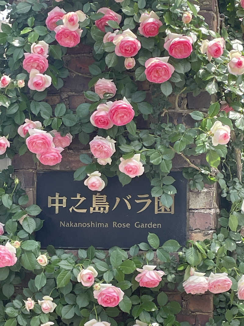 サはまりさんさんのユートピア白玉温泉のサ活写真