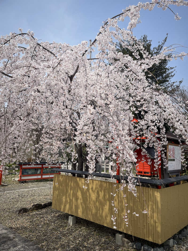 サはまりさんさんのさがの温泉 天山の湯のサ活写真