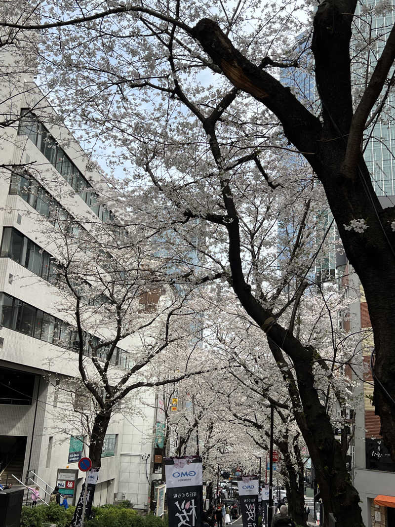 しょうたさんの渋谷SAUNASのサ活写真